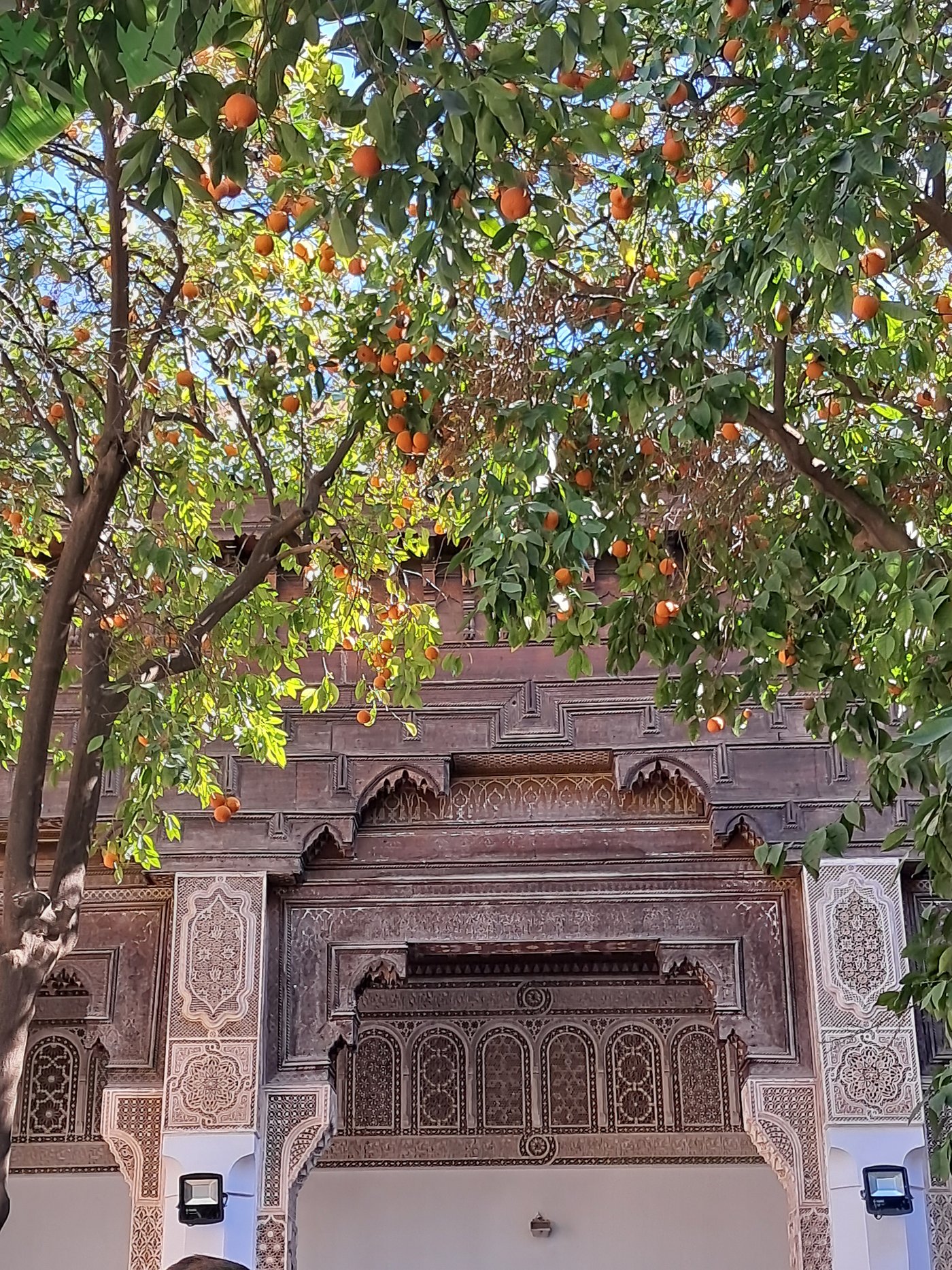 A carved cedar doorway at the Bahia Palace, Marrakesh, framed in greenery