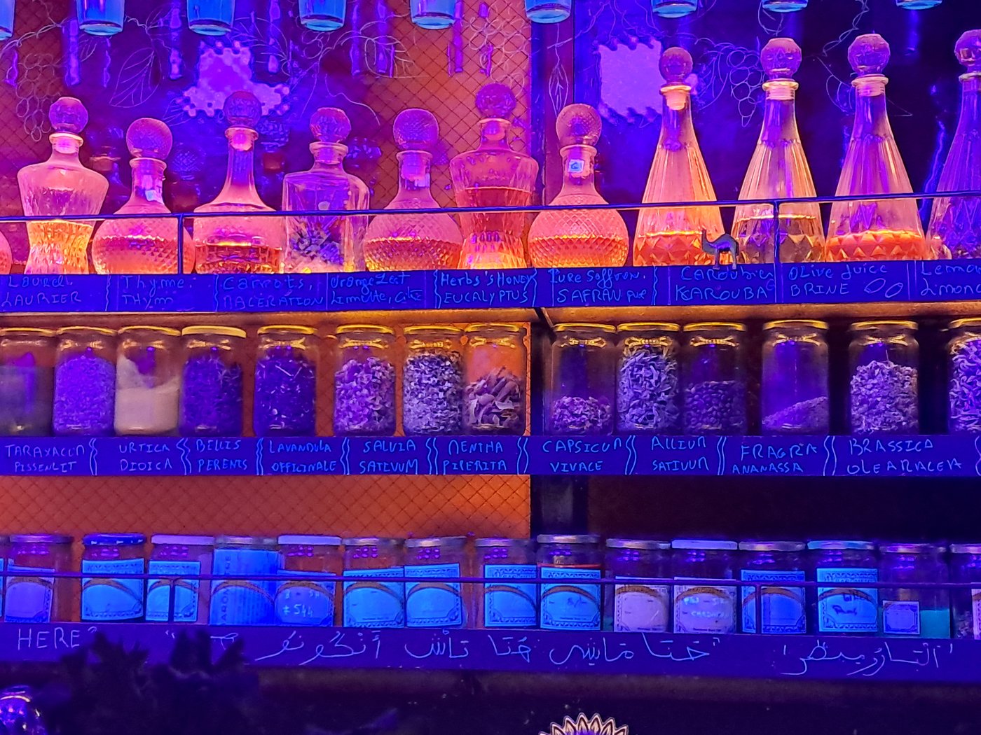 The back bar at Baromètre Marrakech glowing under black light, with botanical jars and bottles